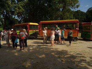 Wycieczka do Kazimierz Dolnego i okolic